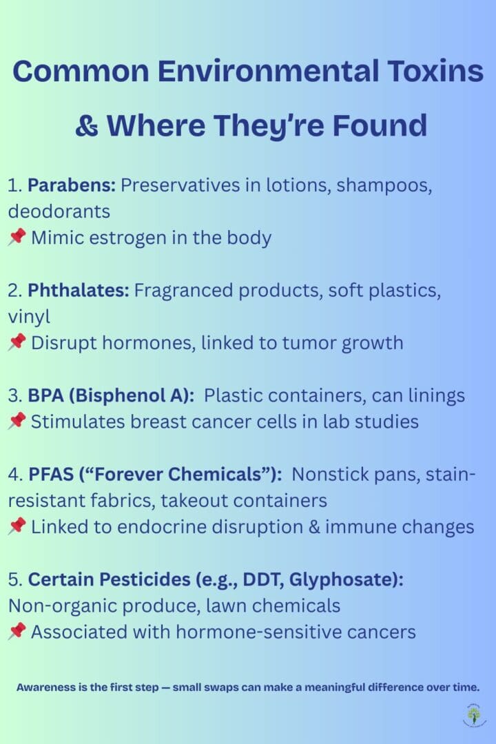 Infographic showing common environmental toxins linked to hormone disruption — including parabens, phthalates, BPA, PFAS, and pesticides — and where they are commonly found.