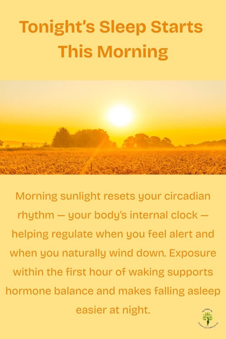Morning sunlight helps reset circadian rhythm and improve sleep in midlife women.