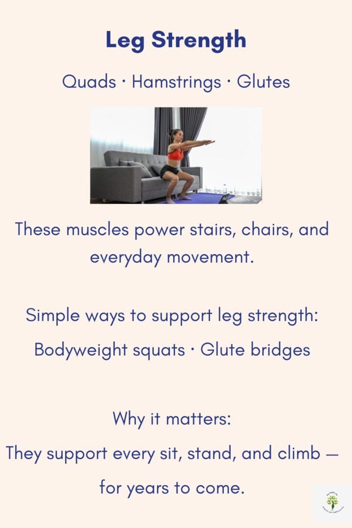 Leg strength exercises supporting quads, hamstrings, and glutes, highlighting how lower body strength supports stairs, standing, and everyday movement in midlife.