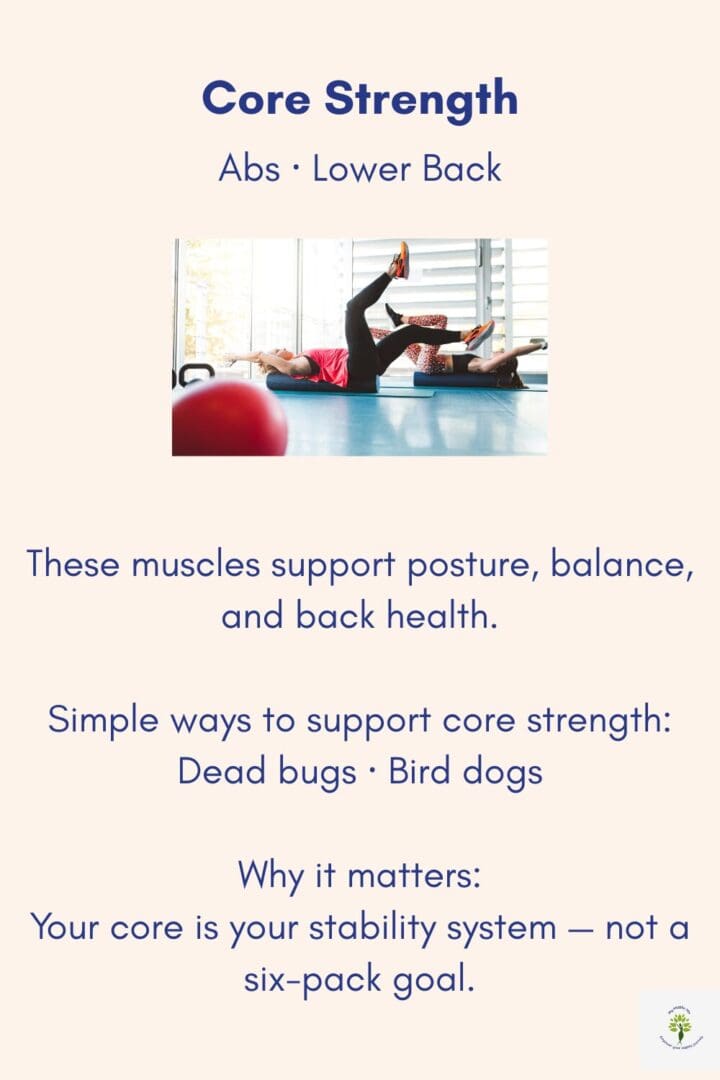 Core strength exercises for abs and lower back, emphasizing balance, posture, and spinal support rather than appearance-focused fitness goals.