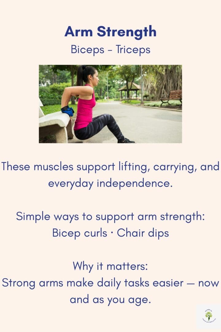 Arm strength exercises for biceps and triceps focused on lifting, carrying, and maintaining independence through functional strength.