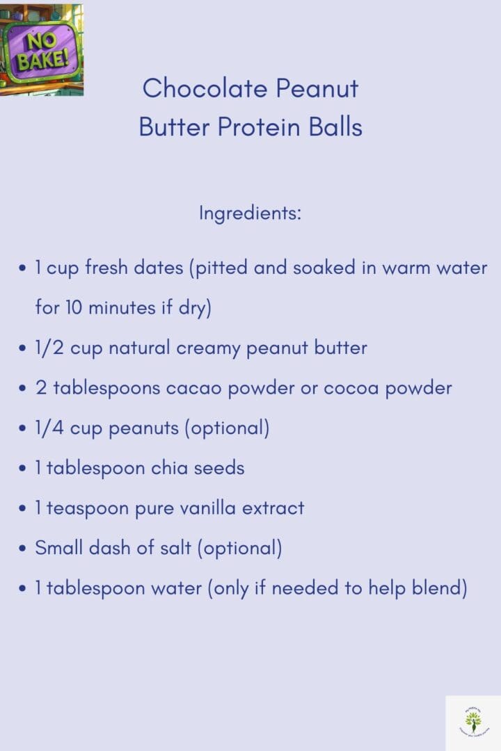 Ingredients card for chocolate peanut butter protein balls, listing dates, peanut butter, cacao powder, peanuts, chia seeds, vanilla, salt, and water.