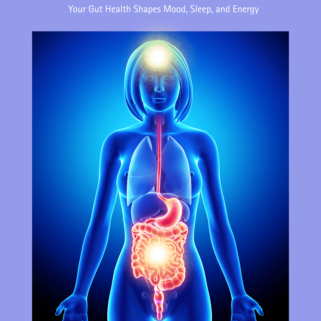 Illustration of a female body with glowing gut and brain, representing the gut–brain connection in midlife health.